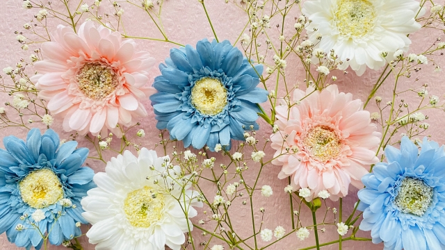 10月の誕生花と、秋色の楽しみ